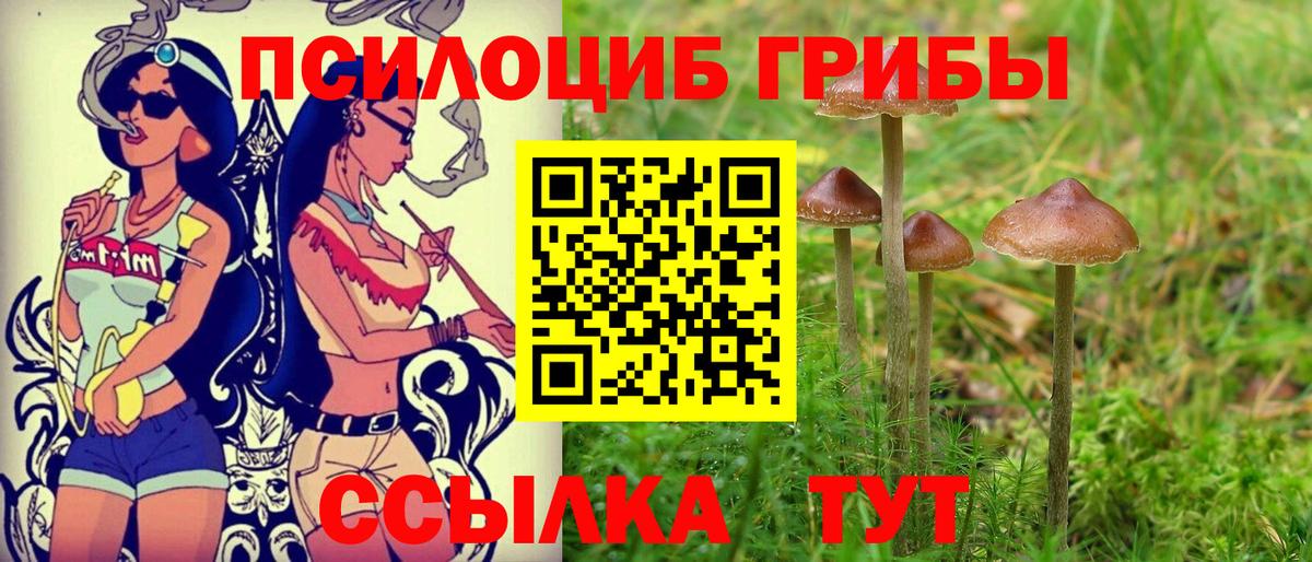 Галлюциногенные грибы Psilocybe  Вход с VPN  Псилоцибиновые грибы Psilocybe  Надым 